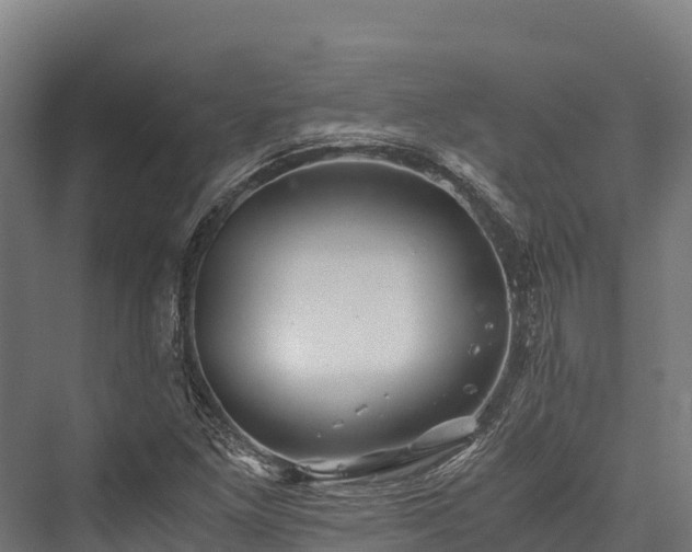 X0000076311261200610061321