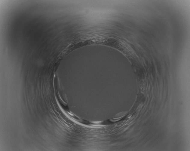 X0000076311298200610061319