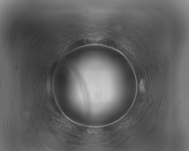 X0000076311299200610061319