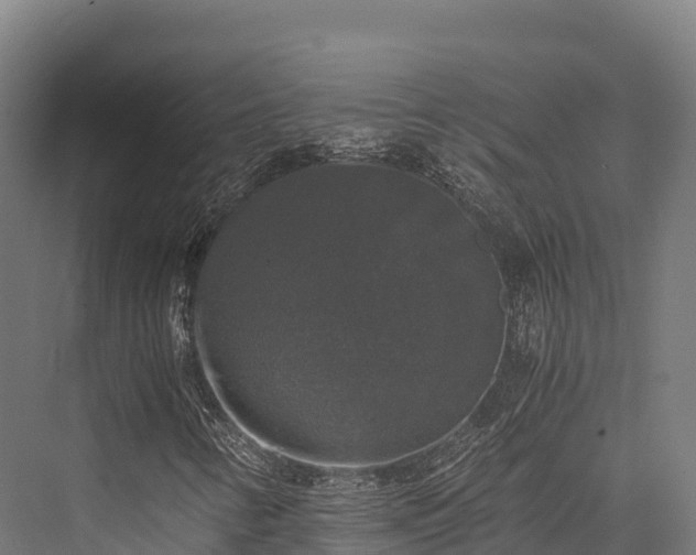 X0000076311346200610061319