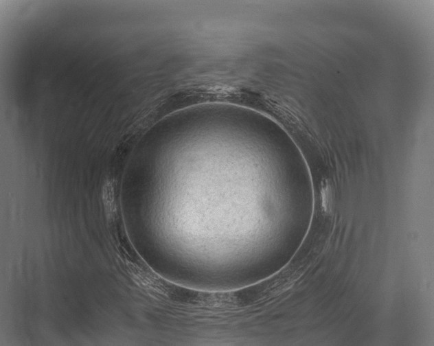 X0000076311347200610061319