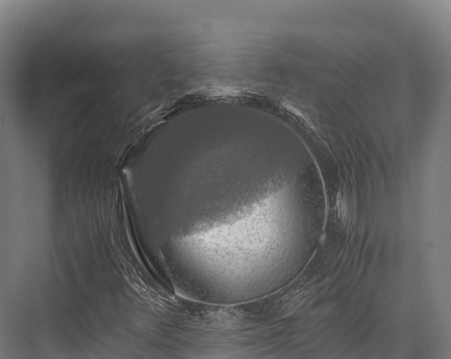 X0000076311348200610061319