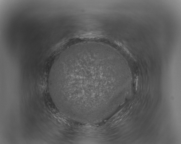 X0000076311350200610061319