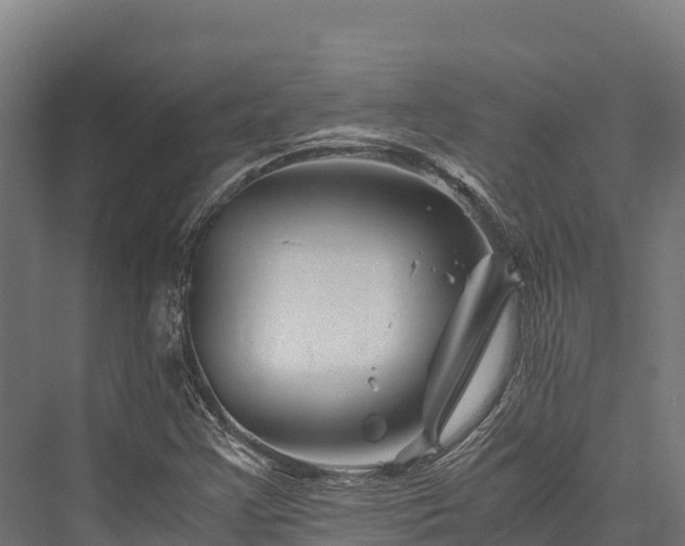 X0000076311355200610061319