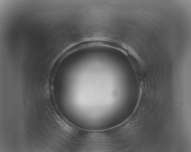 X0000076311356200610061319