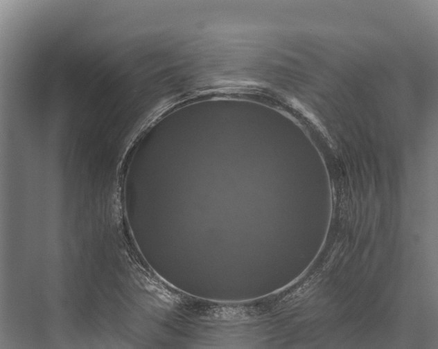 X0000076311362200610061319