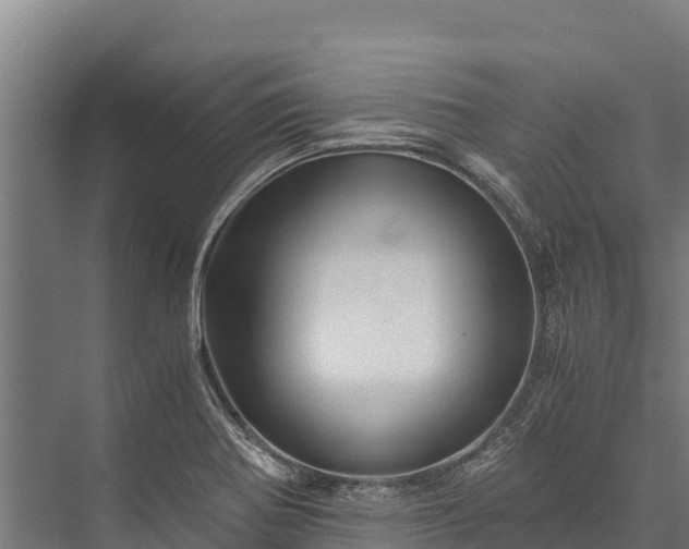 X0000076311370200610061319