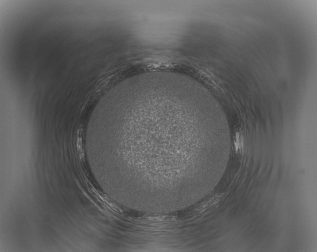 X0000076311396200610061318