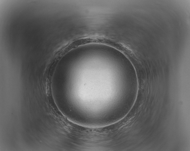X0000076311398200610061318