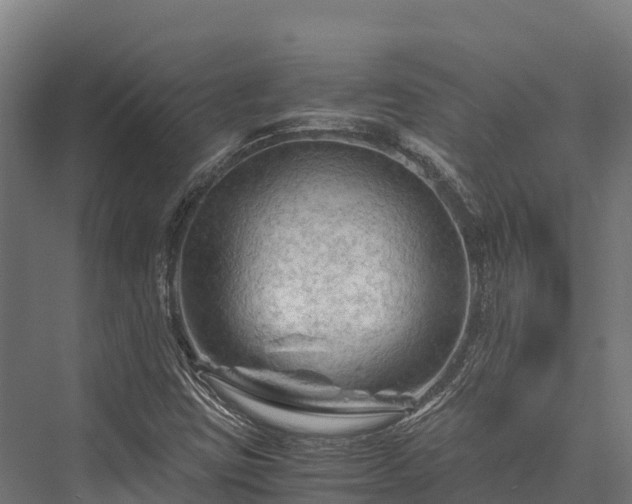 X0000076311403200610061318