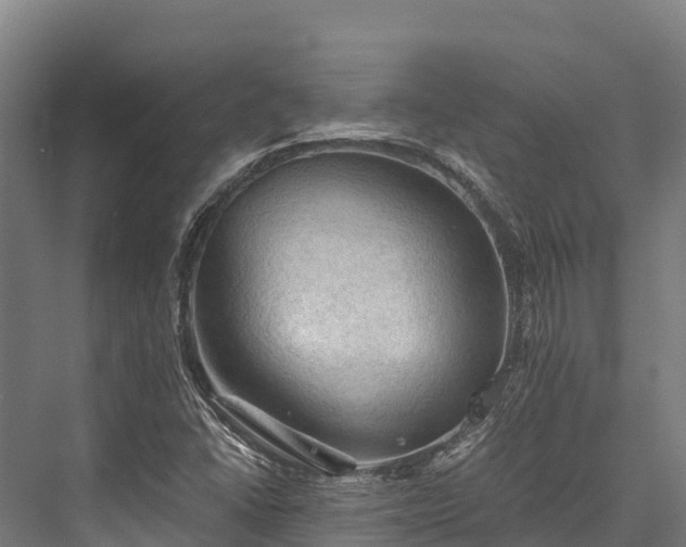 X0000076311406200610061318