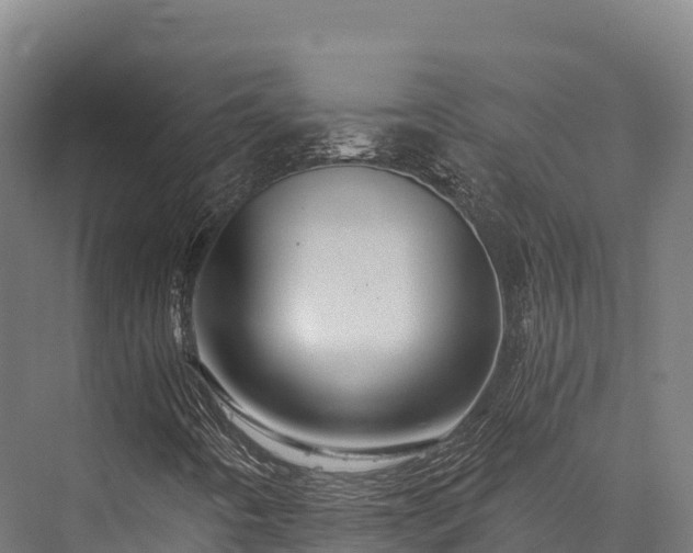 X0000076311442200610061318