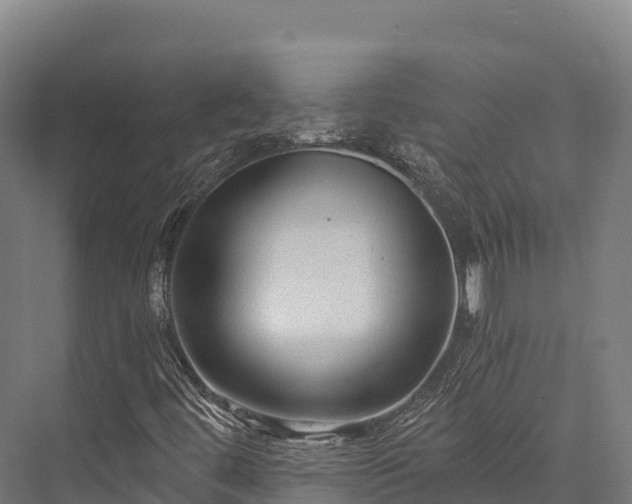 X0000076311444200610061318