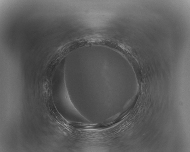 X0000076311445200610061318