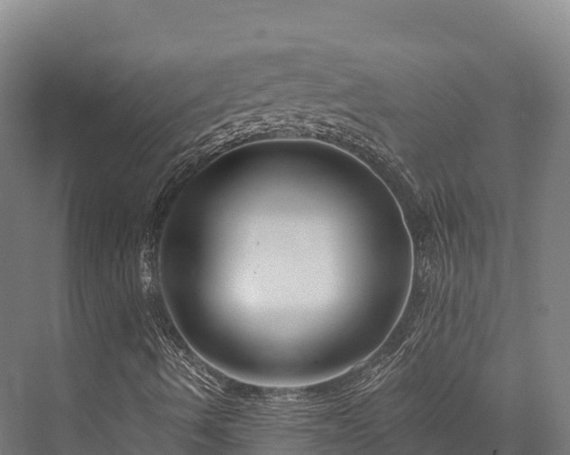 X0000076311490200610061316
