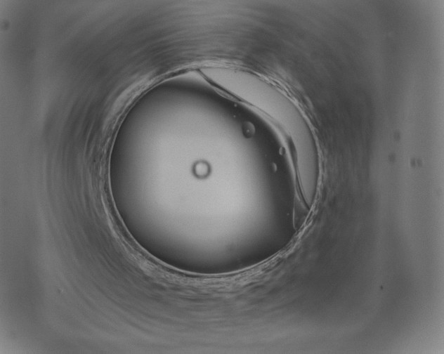 X0000076310001200610161630