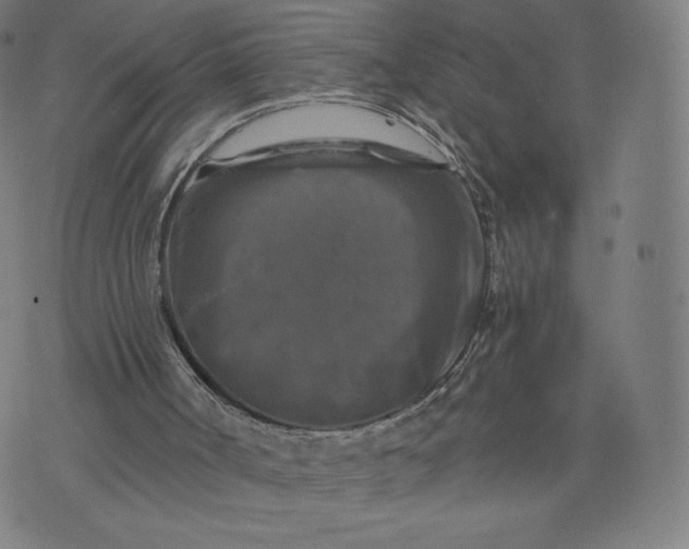 X0000076310002200610161630