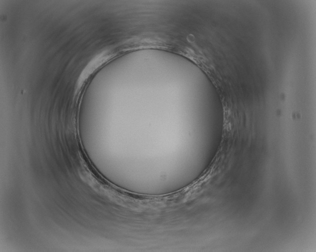 X0000076310004200610161630