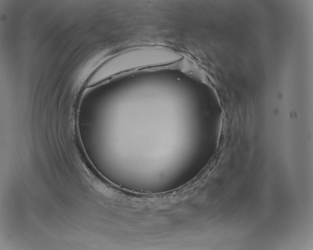 X0000076310005200610161630