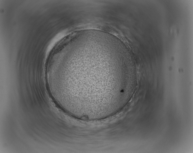 X0000076310006200610161630