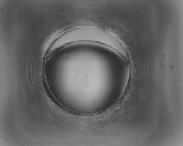 X0000076310007200610161630