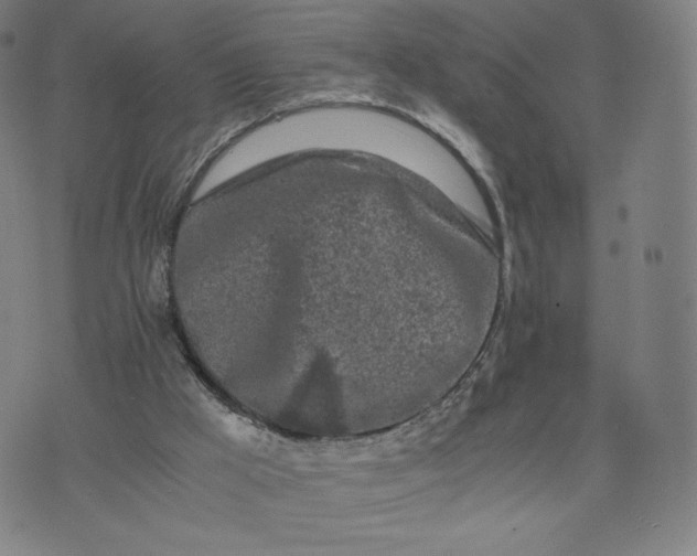 X0000076310009200610161630