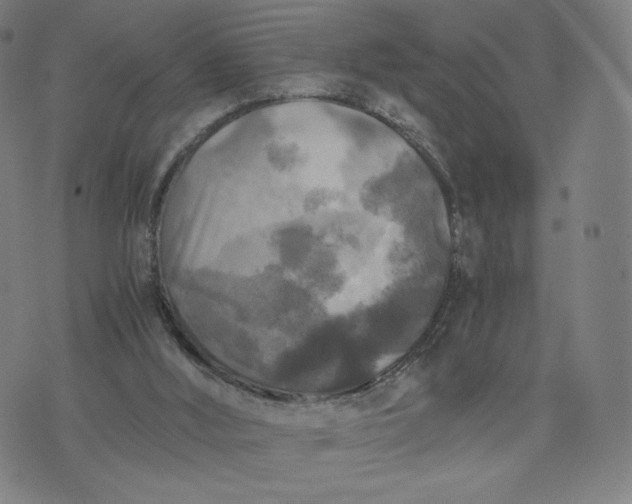 X0000076310012200610161630