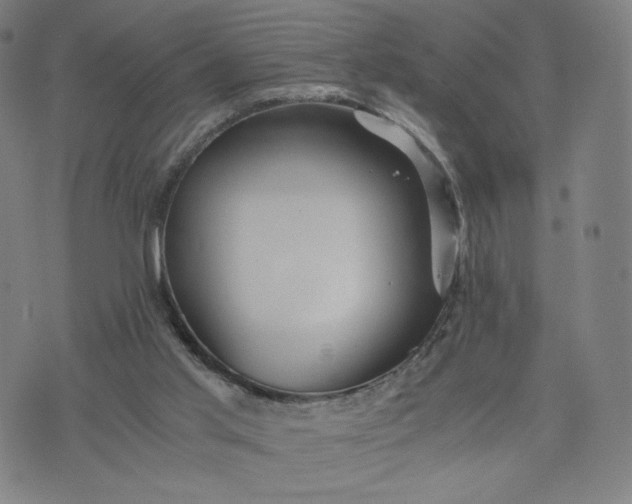 X0000076310013200610161630