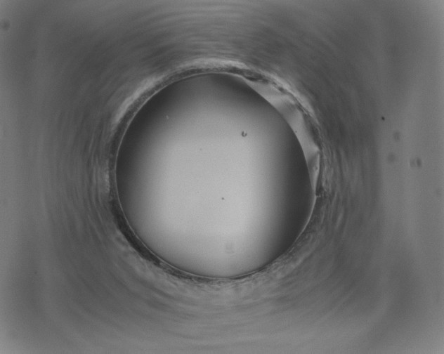 X0000076310015200610161630