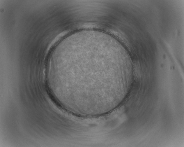 X0000076310016200610161630