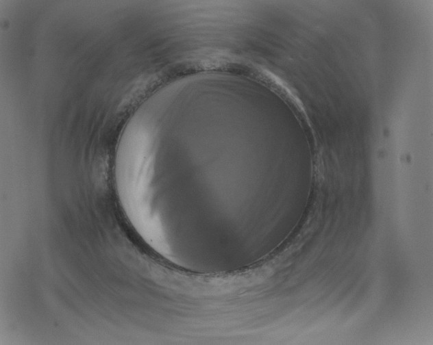 X0000076310018200610161630