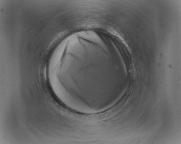 X0000076310019200610161630