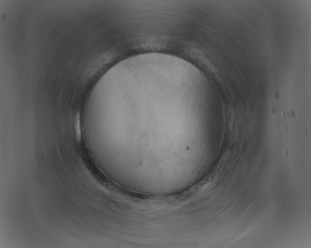 X0000076310020200610161630