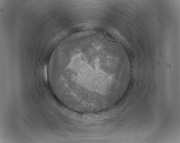 X0000076310022200610161630