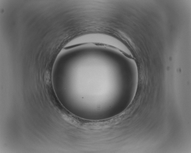 X0000076310025200610161630