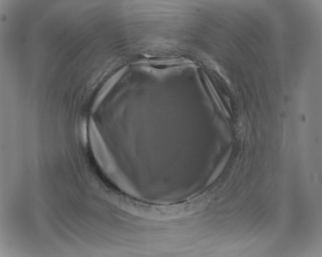 X0000076310027200610161630