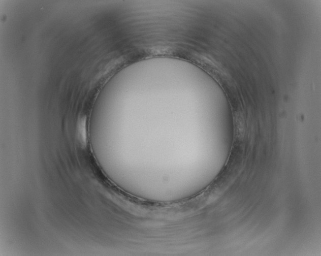 X0000076310028200610161630