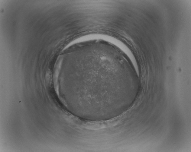 X0000076310029200610161630