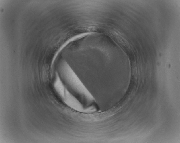 X0000076310030200610161630