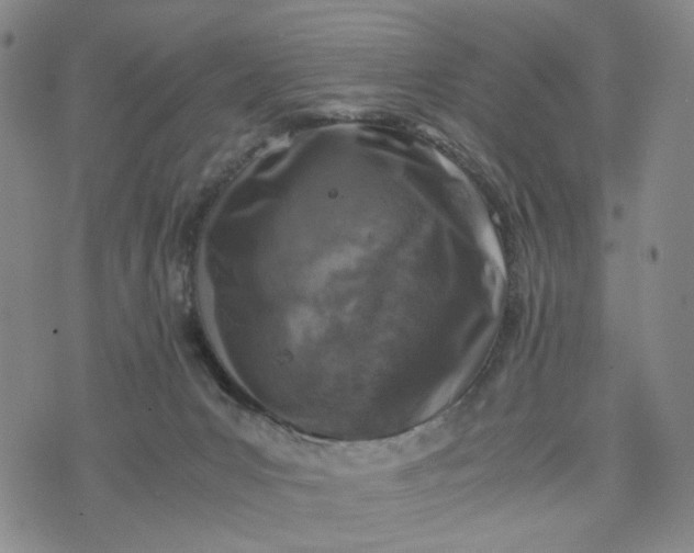 X0000076310031200610161630