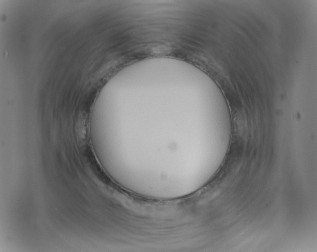 X0000076310032200610161630