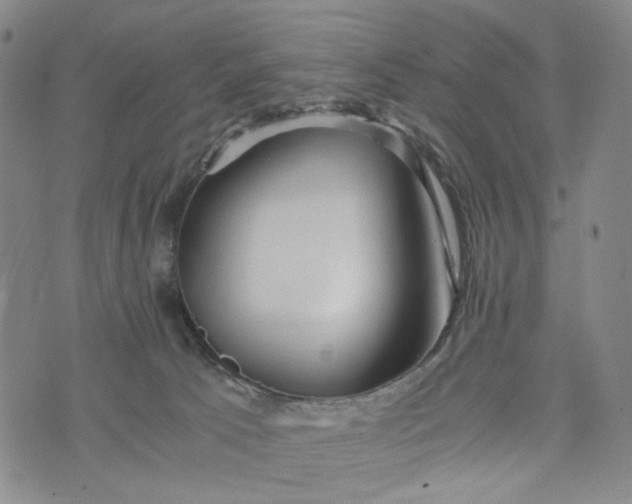 X0000076310033200610161630