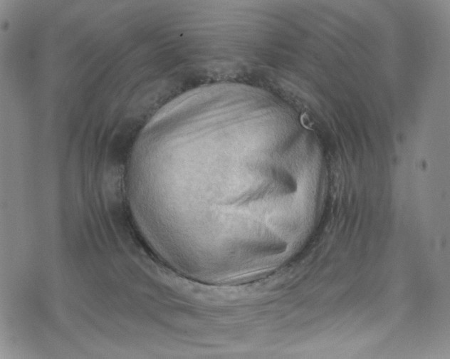 X0000076310034200610161630