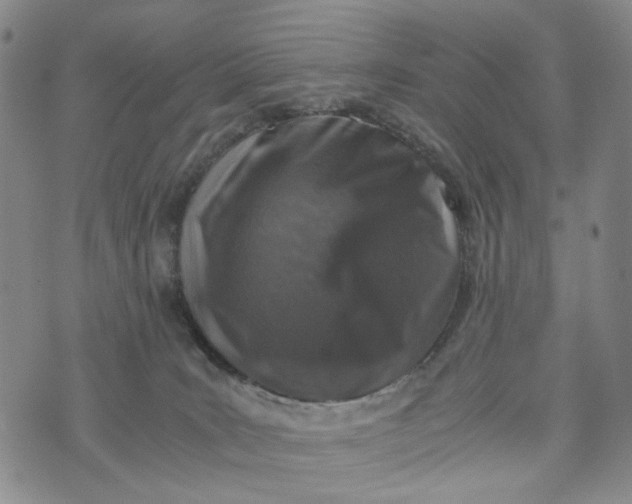 X0000076310035200610161630