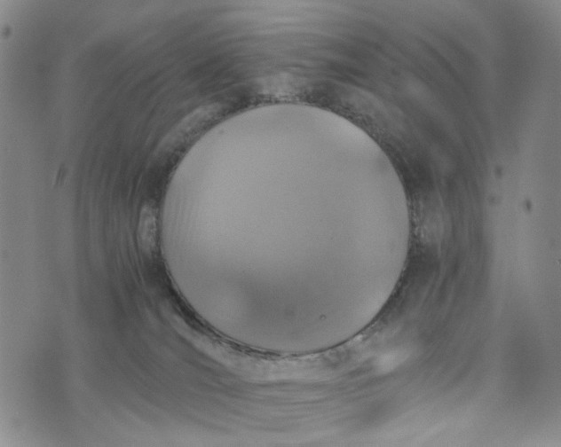 X0000076310036200610161630