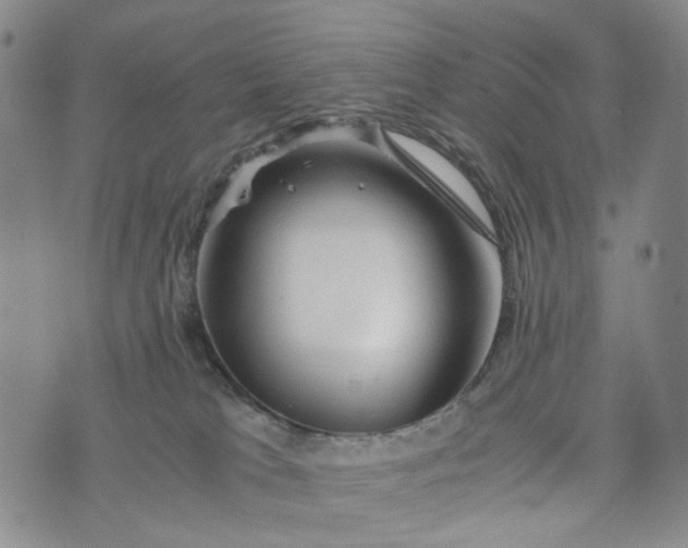 X0000076310037200610161630