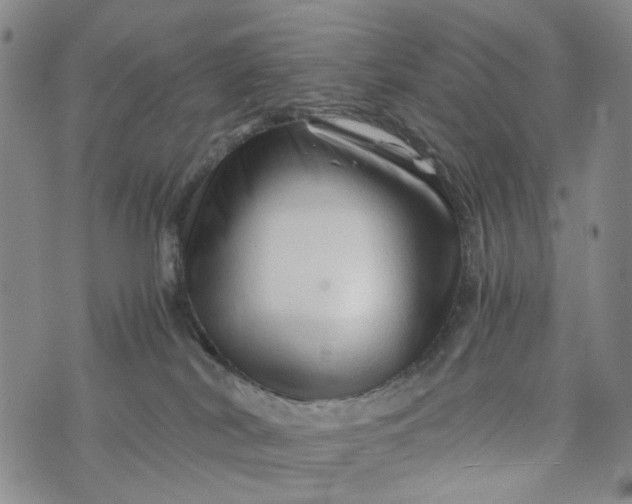 X0000076310038200610161630