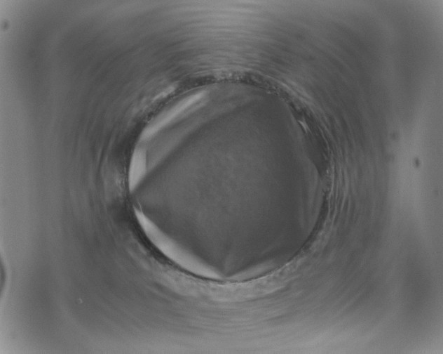 X0000076310039200610161630