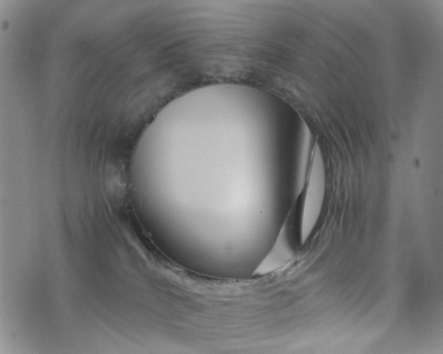 X0000076310040200610161630