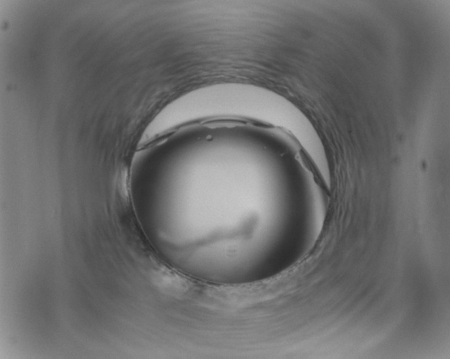 X0000076310041200610161630